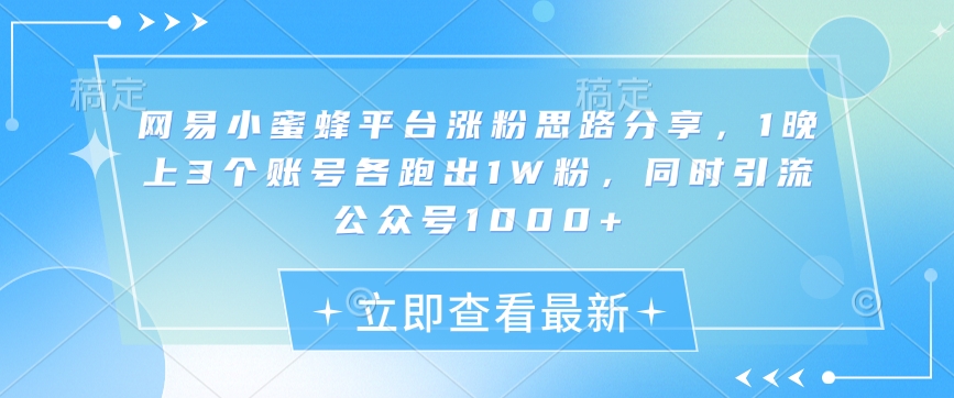 网易小蜜蜂平台涨粉思路分享，1晚上3个账号各跑出1W粉，同时引流公众号1000+-小何资源库