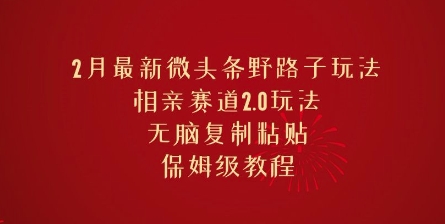 2月最新微头条野路子玩法，相亲赛道2.0玩法，无脑复制粘贴，保姆级教程-小何资源库