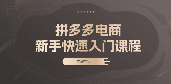（13289期）拼多多电商新手快速入门课程：涵盖基础、实战与选款，助力小白轻松上手-小何资源库