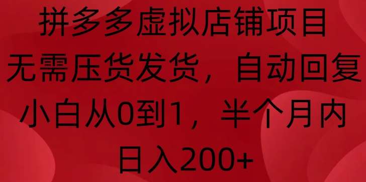 拼多多虚拟店铺项目，无需压货发货，自动回复，小白从0到1，半个月内日入200+【揭秘】-小何资源库