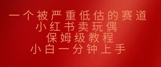 一个被严重低估的赛道，小红书卖玩偶，保姆级教程，小白一分钟上手-小何资源库
