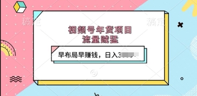 视频号年货项目，流量贼猛，早布局早挣钱，日入上k【揭秘】-小何资源库