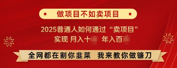 必看，做项目不如卖项目，2025普通人如何通过“卖项目”实现月入十个，年入百个-小何资源库