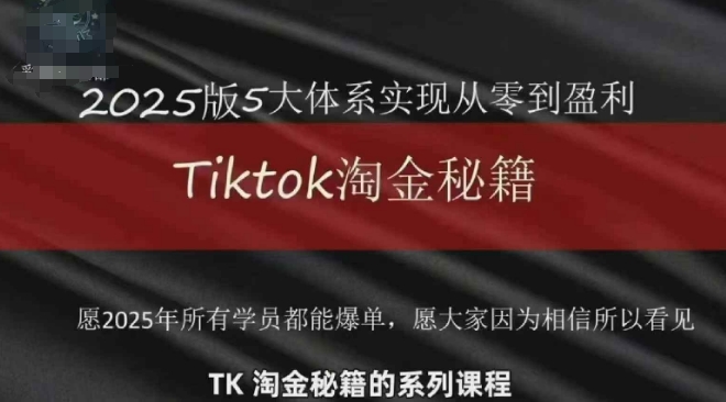 TikTok跨境2025淘金秘籍，​2025TikTok从0到盈利变现-小何资源库