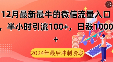 12月最新最牛的微信流量入口，半小时引流100+创业粉，日涨粉1000+-小何资源库