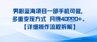 8月新男粉蓝海项目一部手机可做，多重变现方式 月入4W+【详细操作流程拆解】-小何资源库