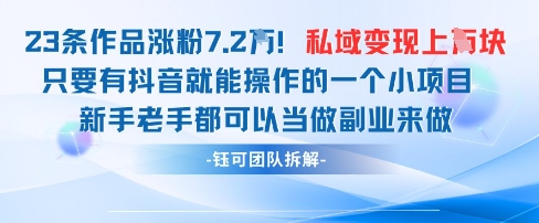 抖音私域项目23条作品涨粉7.2W，私域变现1W-小何资源库