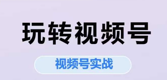 玩转视频号，视频号实战系列课-小何资源库