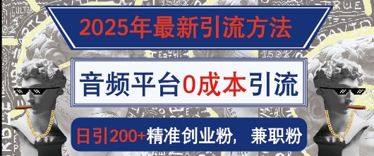 2025年最新引流方法，音频平台0成本引流，日引200+精准创业粉-小何资源库