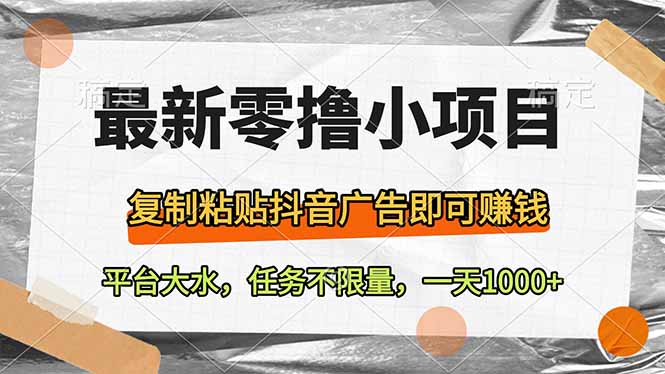 （14230期）最新零撸小项目，复制粘贴抖音广告即可赚钱，平台大水，任务不限量，一…-小何资源库