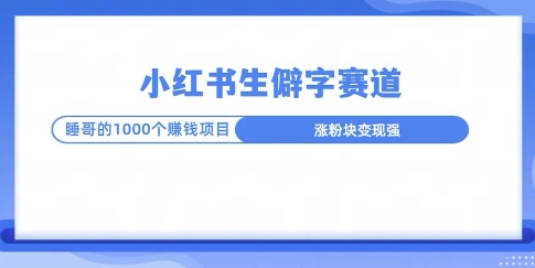 小红书生僻字玩法，快速涨分变现详解-小何资源库
