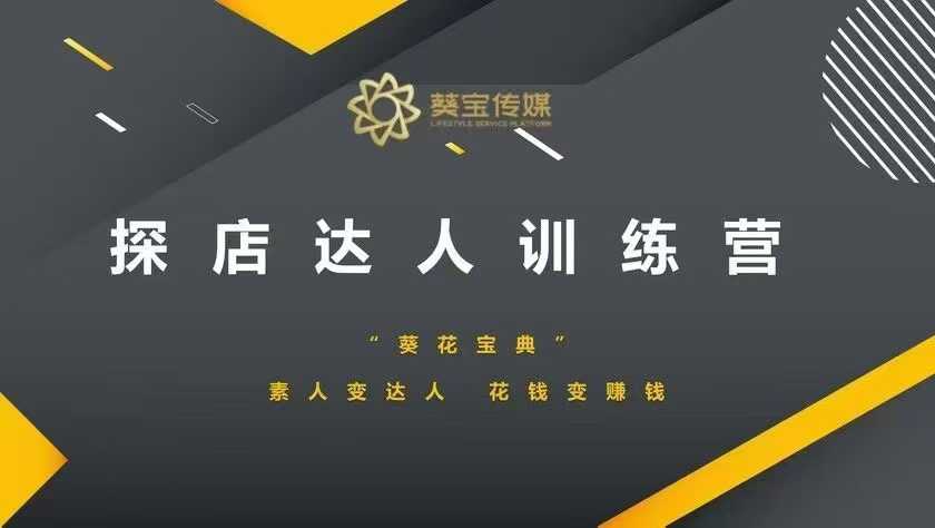 探店达人训练营，素人变达人，花钱变赚钱-小何资源库