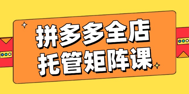 （14328期）拼多多全店托管矩阵课，盈利动销玩法，高效计划设置，提升店铺效益-小何资源库