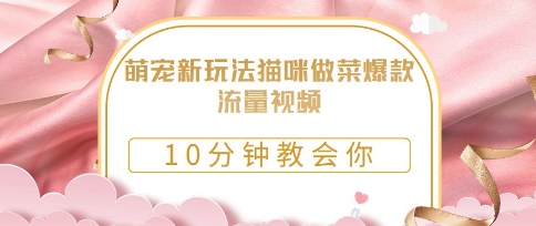 萌宠新玩法猫咪做菜爆款流量视频，10分钟教会你-小何资源库