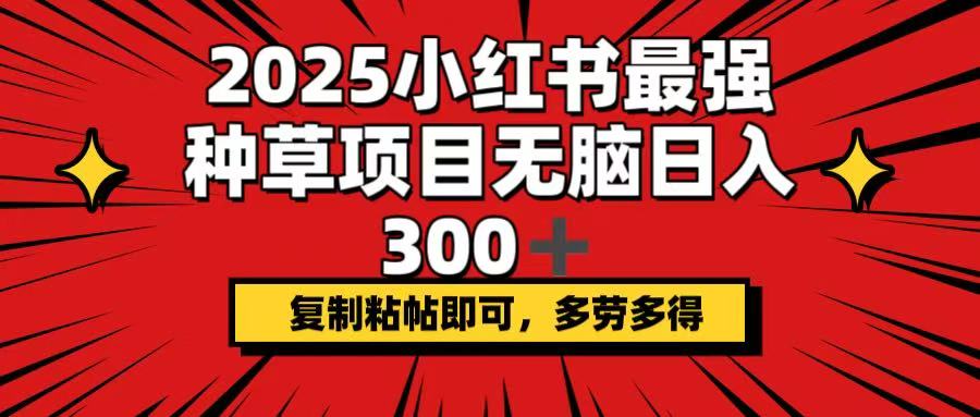 （14375期）2025小红书最强种草项目，无脑日入300+，复制粘帖即可，多劳多得-小何资源库