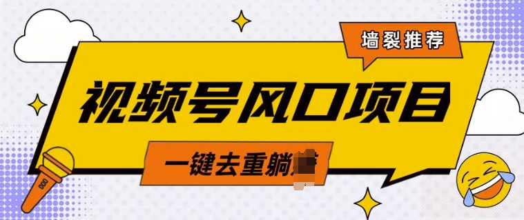 视频号风口蓝海项目，中老年人的流量密码，简单无脑，一键去重，轻松月入过W-小何资源库