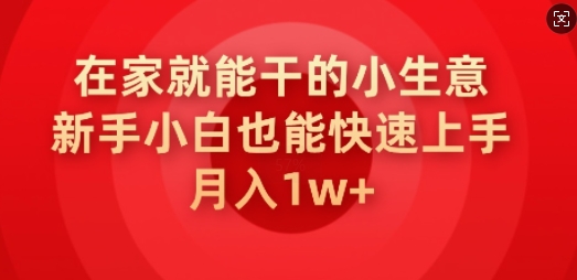 在家就能干的小生意，新手小白也能快速上手，月入1w-小何资源库