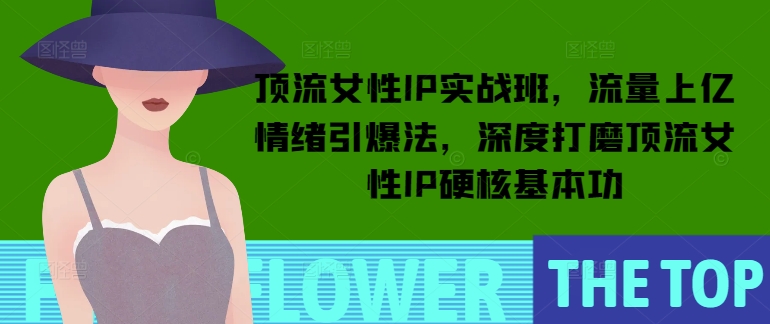 顶流女性IP实战班，流量上亿情绪引爆法，深度打磨顶流女性IP硬核基本功-小何资源库