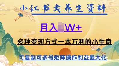 在小红书上卖养生资料，月入1w+，多种变现方式一本万利的小生意-小何资源库