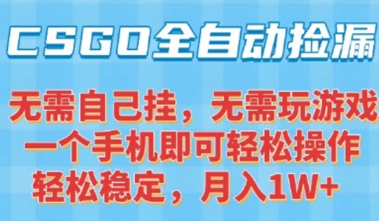 CSGO自动捡漏项目，最新独家玩法，一个手机可操作，新手小白轻松月入1W+，操作简单易上手【揭秘】-小何资源库
