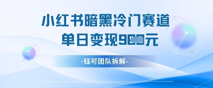 小红书冷门”暗黑”赛道，单日收益多张-小何资源库