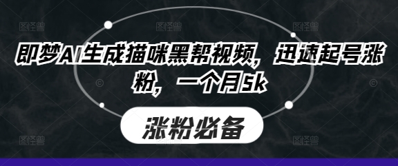 即梦AI生成猫咪黑帮视频，迅速起号涨粉，一个月5k-小何资源库