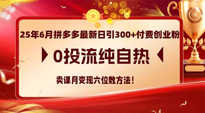（14989期）25年6月拼多多最新日引300+付费创业粉，0投流纯自热 卖课月变现六位数方法-小何资源库