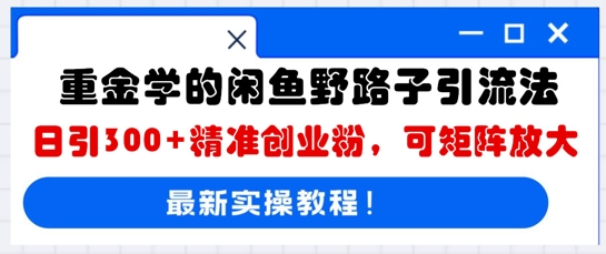 重金学的闲鱼野路子引流法，日引300+精准创业粉，可矩阵放大-小何资源库