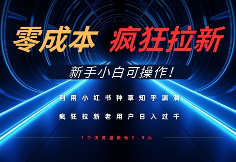 利用小红书种草知乎漏洞，零成本疯狂拉新日入数张，新手小白可操作-小何资源库