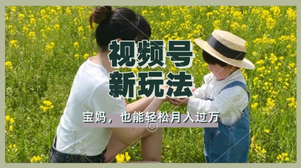 利用车祸意外视频，撸视频号分成收益，轻松月入过W，操作简单，适合宝妈，上班族-小何资源库