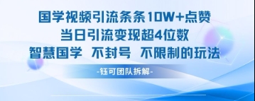 国学视频引流条条10W+点赞当日引流变现超4位数-小何资源库