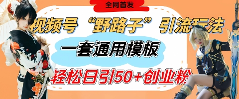 视频号“野路子”玩法，评论区疯狂截流，一套模板单日单号引流50+创业粉-小何资源库