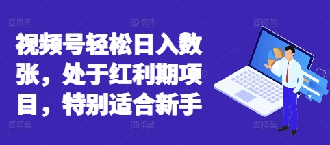 视频号轻松日入数张，处于红利期项目，特别适合新手-小何资源库