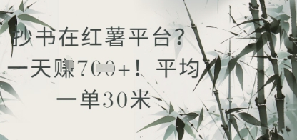 抄书在小红薯平台？平均一单30米，一天收益几张！-小何资源库