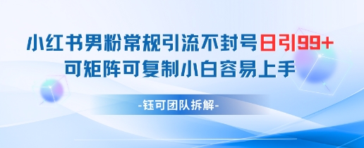 小红书男粉常规引流不封号日引99+变现简单 可矩阵可复制小白容易上手-小何资源库