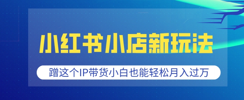 小红书小店新玩法，蹭这个IP带货，小白也能轻松月入过W【揭秘】-小何资源库