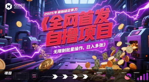 全网首发，2025年最新稳定暴力全自动自撸项目，无限制批量操作，日入多张【揭秘】-小何资源库