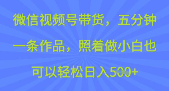 微信视频号带货，五分钟一条作品，照着做小白也可以轻松日入5张-小何资源库