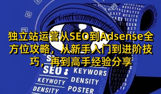 独立站运营从SEO到Adsense全方位攻略，从新手入门到进阶技巧，再到高手经验分享-小何资源库