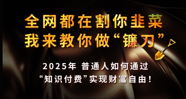 全网都在割你韭菜，我来教你做镰刀，2025年普通人如何通过 知识付费 实现财F自由【揭秘】-小何资源库