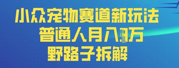 小众宠物赛道新玩法，普通人月入过1W的野路子拆解-小何资源库