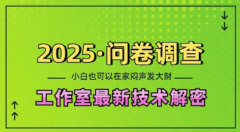 2025问卷调查最新工作室技术解密：一个人在家也可以闷声发大财，小白一天2张，可矩阵放大【揭秘】-小何资源库