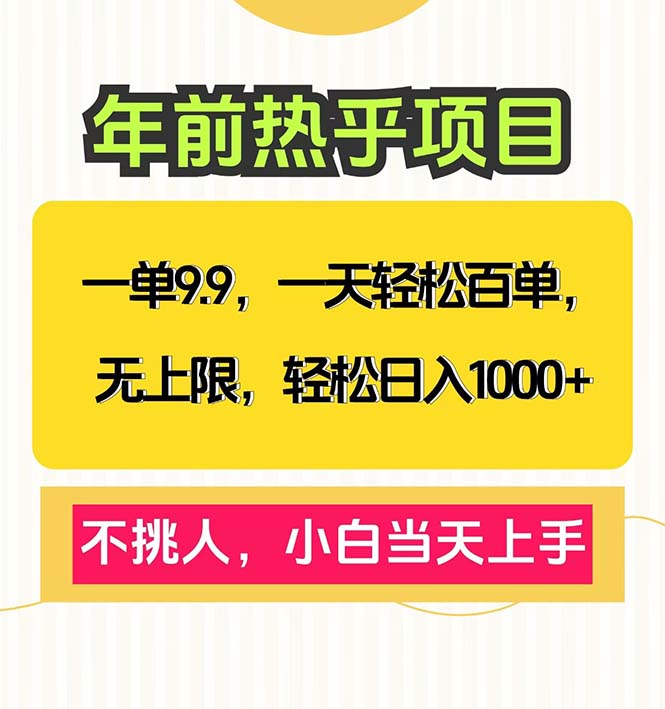 （13795期）一单9.9，一天百单无上限，不挑人，小白当天上手，轻松日入1000+-小何资源库
