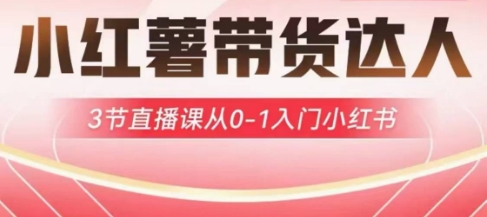 小红薯达人带货启航计划，3节直播课从0-1入门小红书-小何资源库