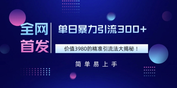 全网首发，价值3980单日暴力引流300+的精准引流法大揭秘-小何资源库
