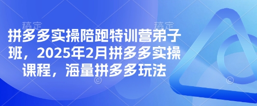 拼多多实操陪跑特训营弟子班，2025年2月拼多多实操课程，海量拼多多玩法-小何资源库