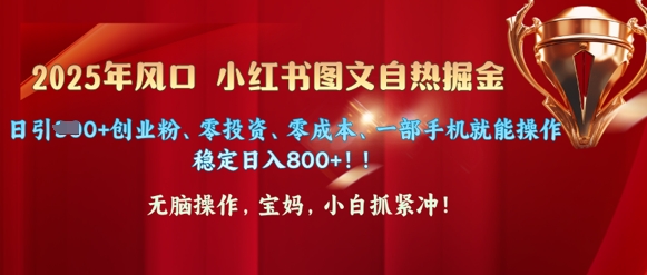 25年风口小红书图文掘金，日引300+创业粉、零投资、零成本、一部手机就能操作-小何资源库