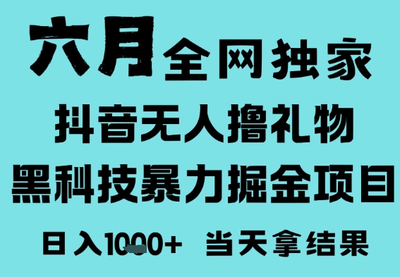 25年6月高爆抖音无人直播最新撸音浪掘金项目，门槛低小白可做，无脑日入1k，可矩阵放大【揭秘】-小何资源库