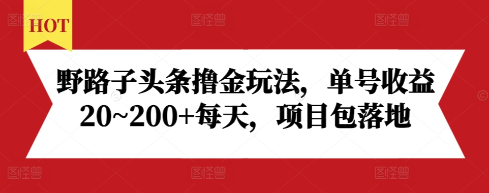 野路子头条撸金玩法，单号收益20~200+每天，项目包落地-小何资源库