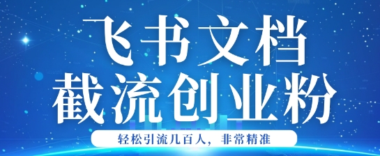 利用飞书文档截流创业粉轻松引流200+-小何资源库